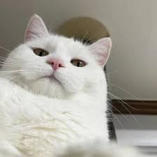 วรชิต กนิตศรีบำเพ็ญ avatar