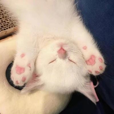 ซันนี่ สุวรรณเมธานนท์ avatar