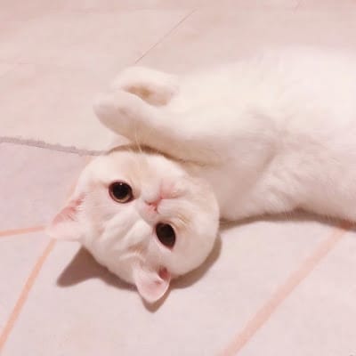 ญาญ่าหญิง รฐา avatar